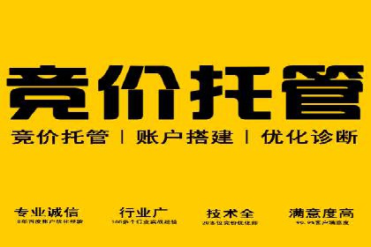 百度推广技巧：成功案例分享与解析